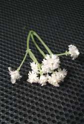 Set de 8-9 floricele mini albe de aprox 1cm