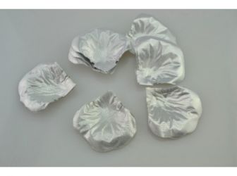 Set de 70 petale decor, argintiu