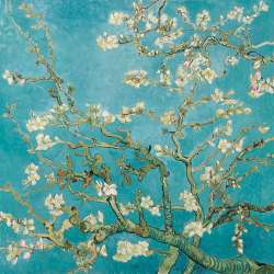 Servetel decorativ 33*33 cm - almond blossom