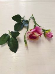 Set trandafiri cu frunze