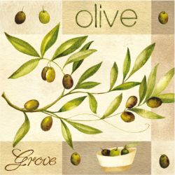 Servetel decorativ 33*33cm - Olive