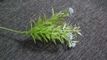 Decor floral cu floricele mici albastre